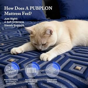 PUBPLON Queen Mattress 14 Inch Hybrid Queen Size-Gel Memory Foam Mattress in a Box, Individually Wrapped Pocket Spring, Pressure Relief Edge Support, Medium Firm — photo 2 of 6