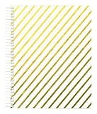 Miquelrius Medium 4 Subject Wirebound Notebook - Golden, (120 Sheets(240 Pages, Lined), 6.5