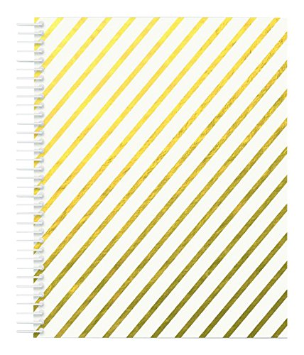 Miquelrius Medium 4 Subject Wirebound Notebook - Golden, (120 Sheets(240 Pages, Lined), 6.5