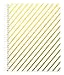 Miquelrius Medium 4 Subject Wirebound Notebook - Golden, (120 Sheets(240 Pages, Lined), 6.5" x 8" (White)