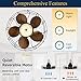 NORFOLK Outdoor Ceiling Fans with Lights, 20'' Wet Rated Remote Gazebo Fan, Plug in Cord for Pergola and Canopy, Hanging with Hook & Downrod, 3 Color LED Light
