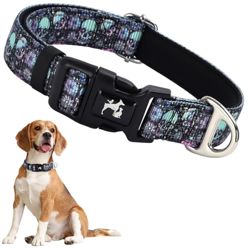 Reflective Skull Dog Collar - Adjustable Nylon (16-22 in)