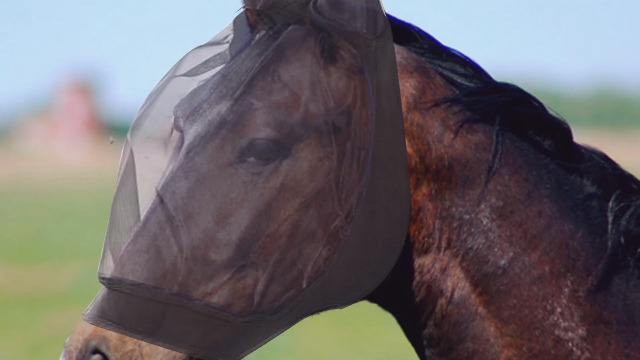 Professional's Choice Maschera Antimosche Comfort-Fit Santiago – Lycra Morbida E Traspirante Per Cavallo