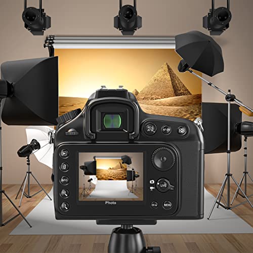 LFEEY 10x8ft Egyptian Pyramids Backdrop Egypt Ancient Architecture Ruins Photography Background Sky Clouds Photo Studio Props Adult Boy Girl Artistic Portrait Nature Scenic Vinyl Wallpaper