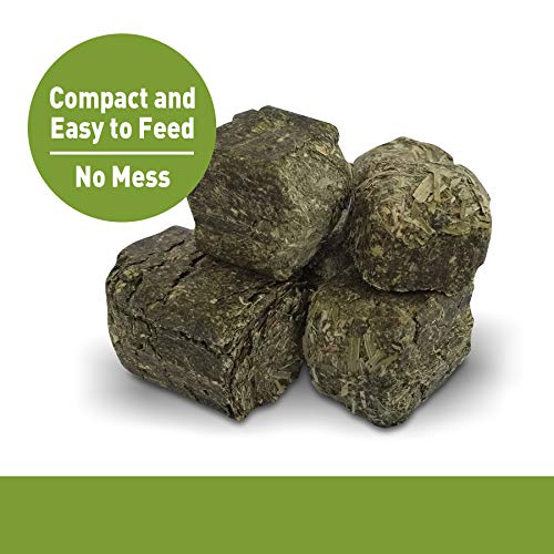 Living World Alfalfa Chews, 16-Ounce #TOP3