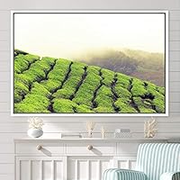 Framed Canvas Wall Art Greenlands Aerial Dark Farmhouse/Country Green Nature Photography Realism Relax/Calm - 16x24 inches