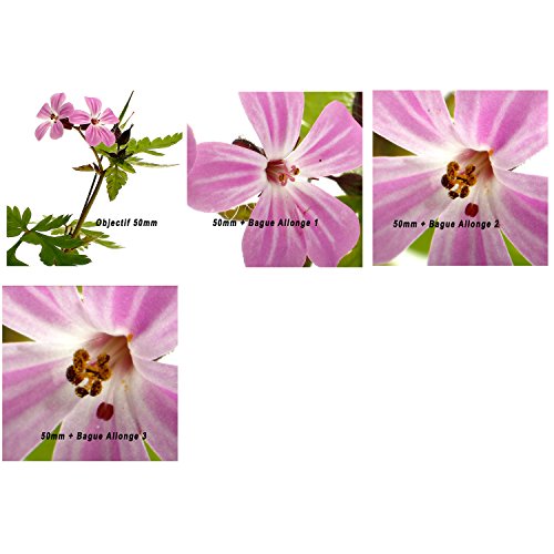 JJC Anello 72 mm per Canon EOS investimenti