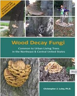 Wood Decay Fungi Common to the Northeast and Central United States, 2nd Edition