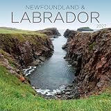 Newfoundland & Labrador | 2027 12 x 24 Inch (Hanging) Monthly Square Wall Calendar | Wyman Publishing | Canadian Regional Travel