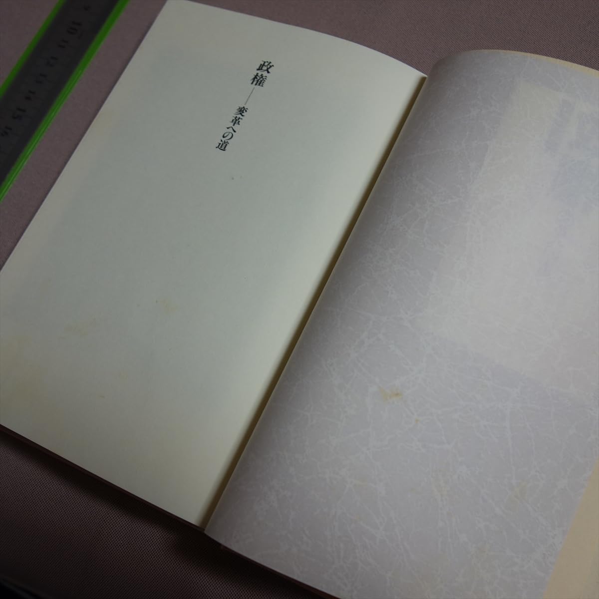 Amazon.co.jp: 政権 変革への道 野坂浩賢 すずさわ書店 : おもちゃ