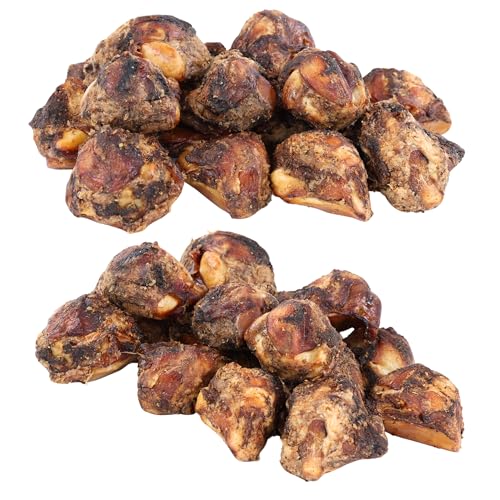 TREATOPIA Adventure Dog Bones Knee Caps 32 PC - All-Natural Dogs Love Them Long-Lasting Healthy Single Ingredient Hand-Trimmed Slow-Roasted Made in The USA No Additives No Fillers