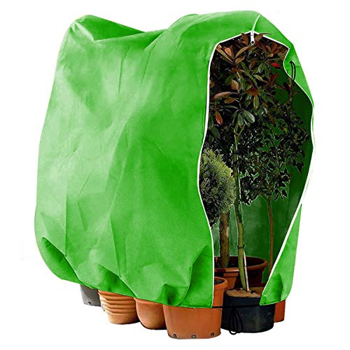 shimytop Protección de invierno para plantas, protección contra heladas, saco para plantas, 240x200 cm, con cremallera, cordón de tracción, tienda de invierno para plantas, reutilizable, color verde Cover