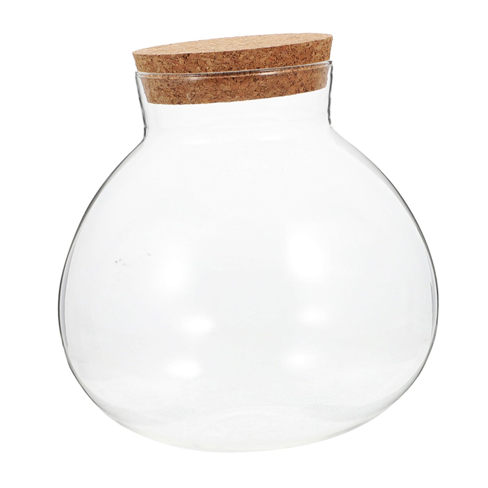 Abaodam Round Glass Terrarium Jar with Cork Lid 5.12In Desktop Micro Landscape Container for Succulent Plants Moss Air Plants and Candy Storage