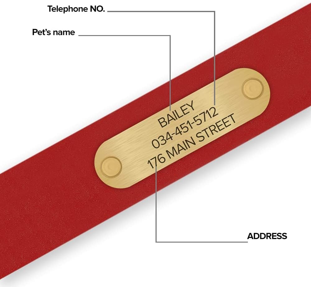 Regal Dog Products Large Red with Custom Engraved Waterproof Dog Collar and Leash Set | Waterproof Dog Collar with Double Buckle & D Ring - 5'ft Leash | Matching Dog Collar and Leash for Dogs