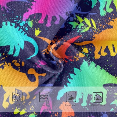 Boys' Exclusive Briefs Toddler Underwear 95% Combed Cotton Boxerbriefs 2T Rainbow Dinosaur Pattern 53