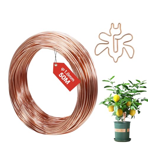 FIFIBANG Fil de Cuivre Émaillé 1.0mmX 50M, T2 Fil de Cuivre Nu, Fil de cuivre isolé Pur pour Soudure, Appareil, Artisanat DIY, Solénoïde