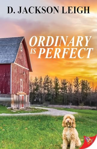 Ordinary Is Perfect view 2