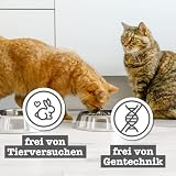 catz finefood Senior Collection mokra karma dla kotów – mokra karma premium dla Twojego starszego kota – bez zbóż, bez cukru, wysoka zawartość mięsa, witaminy i minerały (puszka 6 x 200 g)