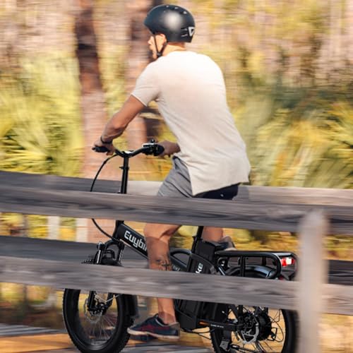 Bluebiko 1000W Electric Bike For Adults, 48V 20Ah Large Removable Battery E Bike, 30+Mph, 80 Miles Max Range, 20 Inch Fat Tire Folding Electric Bike, Adult Electric Bicycles For Commute Beach Snow thumb #4