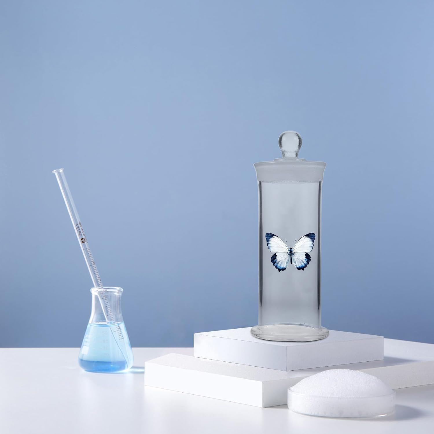 Transparent Specimen Bottle: Glass Sample Storage Container Specimen Collection Jar for Display Laboratory Sample Science Experiment Display