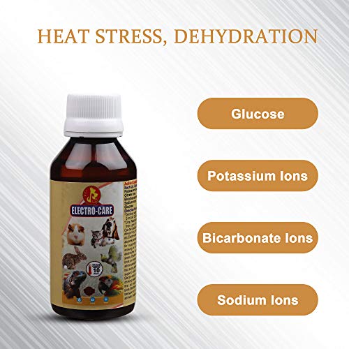 Image of Pet Care International (PCI) Electro Care || for Heat Stress, Loose Motion, Dehydration || in Birds, Dog, Cat, Reptiles, Hamster, Marmoset, Iguana, Gecko, Dwarf, Gerbil Healthcare || 30ml