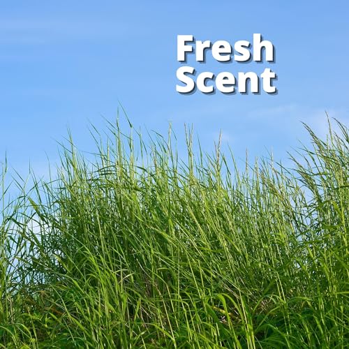 Diversey 101109644 Good Sense Odor Neutralizer & Air Freshener thumb #4