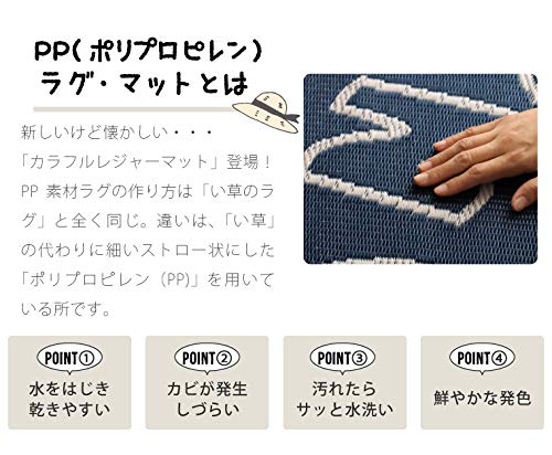 Amazon.co.jp: 【StorePocket】 レジャーシート PPござ 日本製 洗える