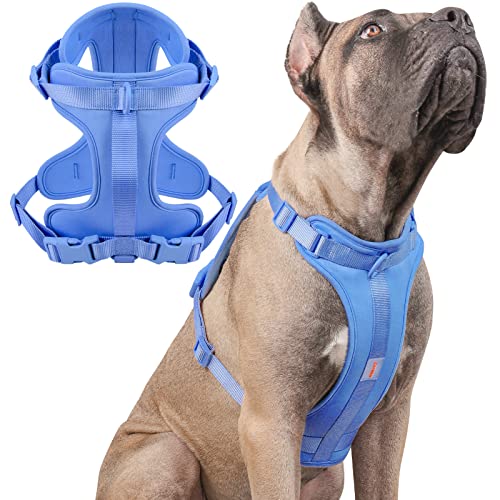 Careble No Pull Lightweight Dog Vest Harness With Soft And Comfortable Cushion, Breathable Mesh, For Small Medium Large Dogs Walking #TOP7