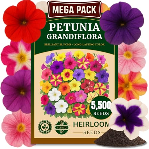 TLSSCO 5500+ Petunia Seeds Pack for 2026 USA Premium Non-GMO Flower Seeds Mixed Rainbow Color Bonsai Grandiflora Flowers Pollinator Garden Open Pollinated Indoor and Outdoor