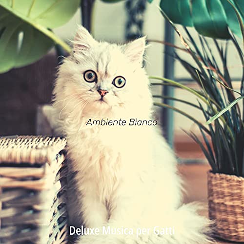  Gattini - Bianca