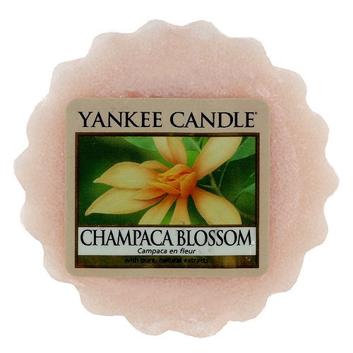 YANKEE CANDLE 1302678E Tartelette Bougie Parfumée Campaca en Fleur Rose