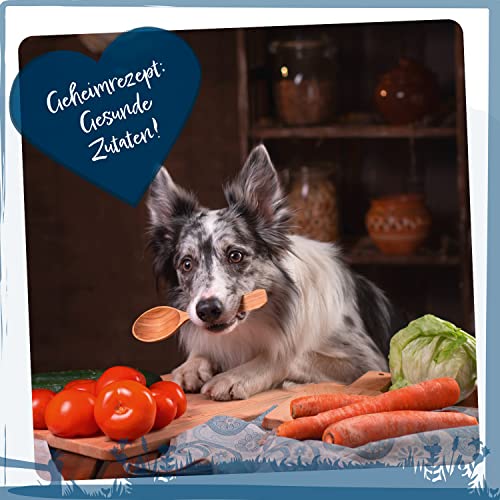 Wild Animal Senior - Premium Hundefutter - Truthahn mit Süßkartoffel & Preiselbeere, Trockenfutter, getreidefrei, 1er Pack (1 x 6kg)