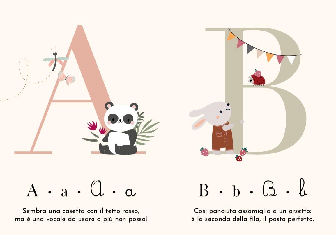 L'alfabeto. Le mie prime carte. Ediz. a colori. Con 30 carte