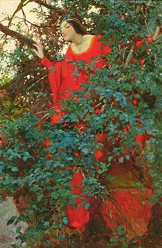 Impression Tableaux Graffiti Art Mural Moderne 60x90cm : Poster Howard Pyle Grand Format