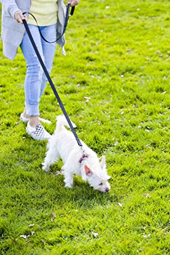 Sunnq Reflective Dog Leash For Small Dogs, 6 Ft (5/8 Inch X 6Ft, Black) #TOP3