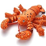 Sedioso Dog Toys, Dog Plush Toy for Large Breed, Cute Squeaky Dogs Toy with Crinkle Paper, Puppy Chew Toy for Small, Middle, Large Breed (Lobster)