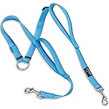 PETBABA Double Dog Leash Coupler, 2.5ft Adjustable Tangle Free Dual Split with Traffic Handle, Reflective Two Splitter Safety at Night, 2 Way Lead Walk Two Pet in 1 in Blue