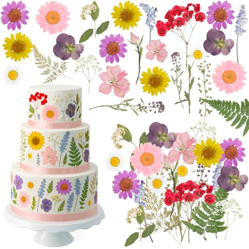 Maasechs 34pcs Natural Real Dried Pressed Flowers for Cake Topper Decorating Colorful Mixed Wildflowers Cupcake Toppers Cocktails Resin Nails Jewelry Making DIY Floral Art Crafts