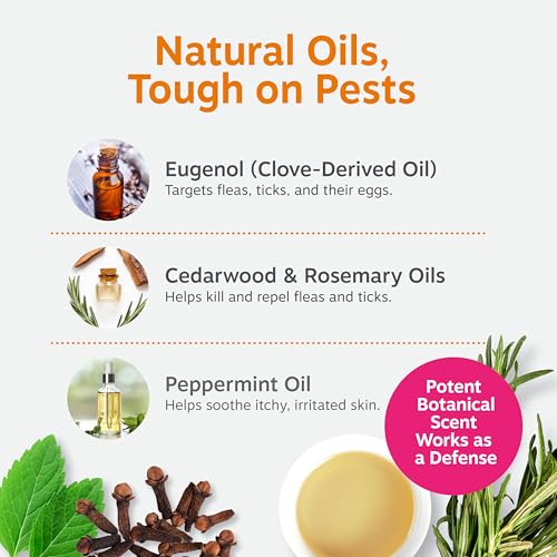 Image of Zesty Paws Flea and Tick Spray for Dogs - Kill Fleas, Ticks & Their Eggs - Veterinarian Formulated - Soothes Itchy & Irritated Dog Skin - Cedarwood Oil, Rosemary Oil & Peppermint Oil