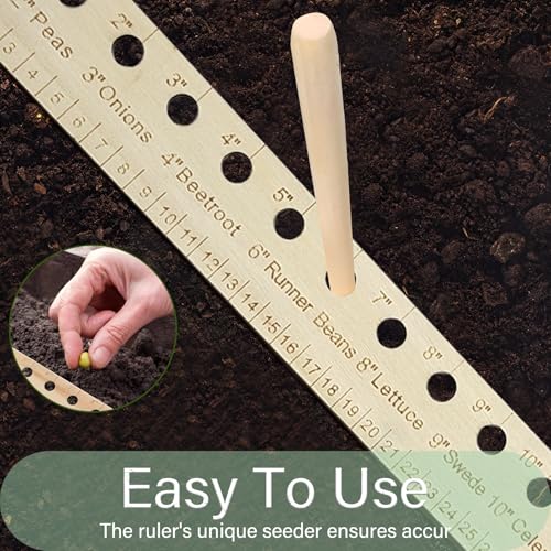 Regla para Plantar y Espaciar Semillas de Madera miniatura 4
