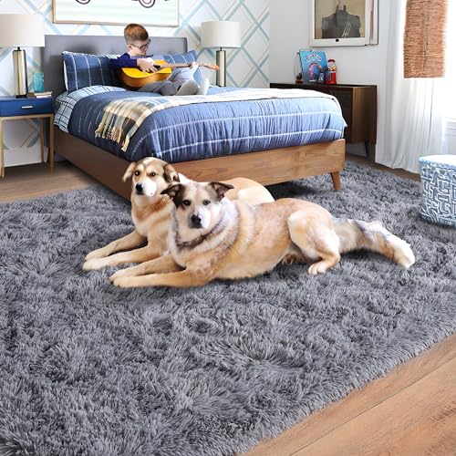 Rugs for Living Room 6x9, Soft Shaggy Modern Shag Area Rug for Bedroom, Upgrade Non-Slip Plush Fluffy Carpet for Kids Boys Girls Room Home Decor Aesthetic, Grey