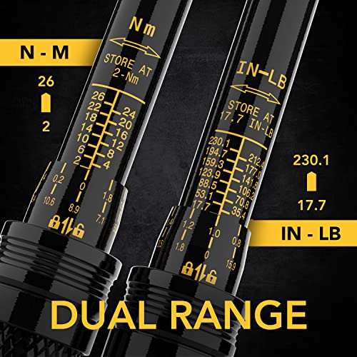 Drehmomentschlüssel Fahrrad & Motorrad, 1/4 Zoll, inklusive 15 teiliges Set Innensechskant Hex und Torx Bits, Messbereich 2-20 Nm mit Verlängerungsstange, torque wrench set Für Rennrad und mehr