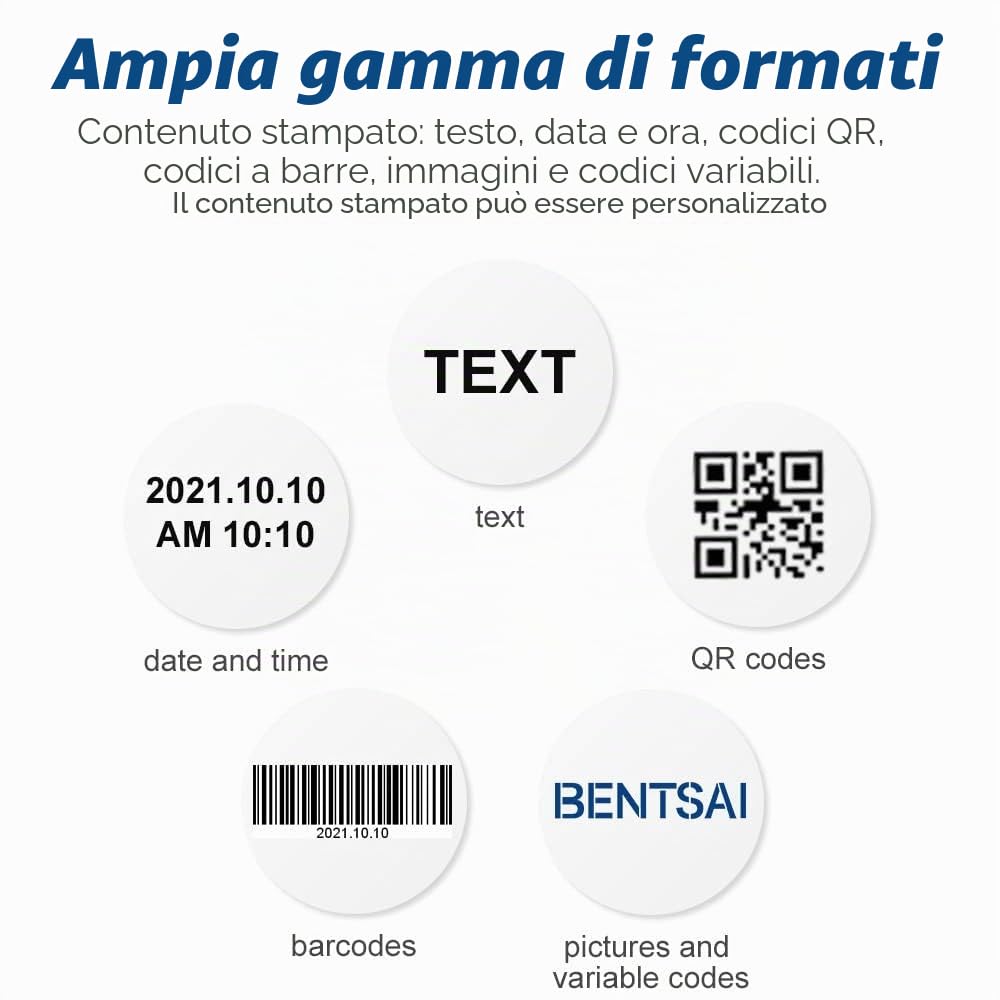 BENTSAI BT-HH6105B2 Stampante Palmare Portatile Macchina di codifica portatile per etichetta con codice a barre Logo Numero di serie Data di produzione (B2 Handheld Printer)