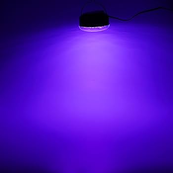 Amazon.co.jp : LEDブラックライト - UV紫外線ライト 10W USB