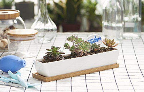 FLOWERPLUS Planter Pot Indoor, 11 Inch Long Rectangle White Ceramic Small Succulent Cactus Flower Plant Container with Bamboo Base and Little Plants Sign for Indoors Outdoor Home Garden Kitchen Decor - Thumbnail 7
