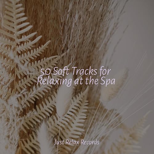 Play 50 Soft Tracks for Relaxing at the Spa by Musica Reiki, Meditation ...