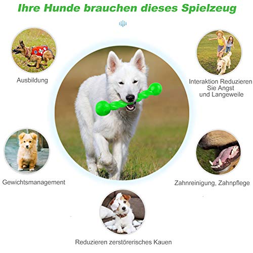 Qianyou Hundespielzeug für Zähne, Gummi Spirale Kauknochen Ungiftig Unzerstörbar Hundemolarenstab Welpen Intelligenzspielzeug Weich Beißwiderstand Hundezahnbürste Haustier Mundpflege, Groß/Grün