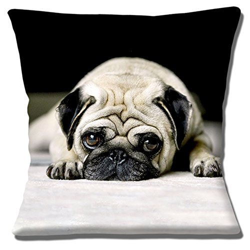 Cute Resting Pug Dog Photo Print Black White Fawn - 16" (40cm) Pillow Cushion Cover