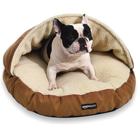 medium dog beds amazon