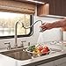 Dura Faucet DF-PK350L-SN RV Non-Metallic Low Weight Plastic ResinTwo-Handle Pull-Down Kitchen Sink Faucet (Brushed Satin Nickel)